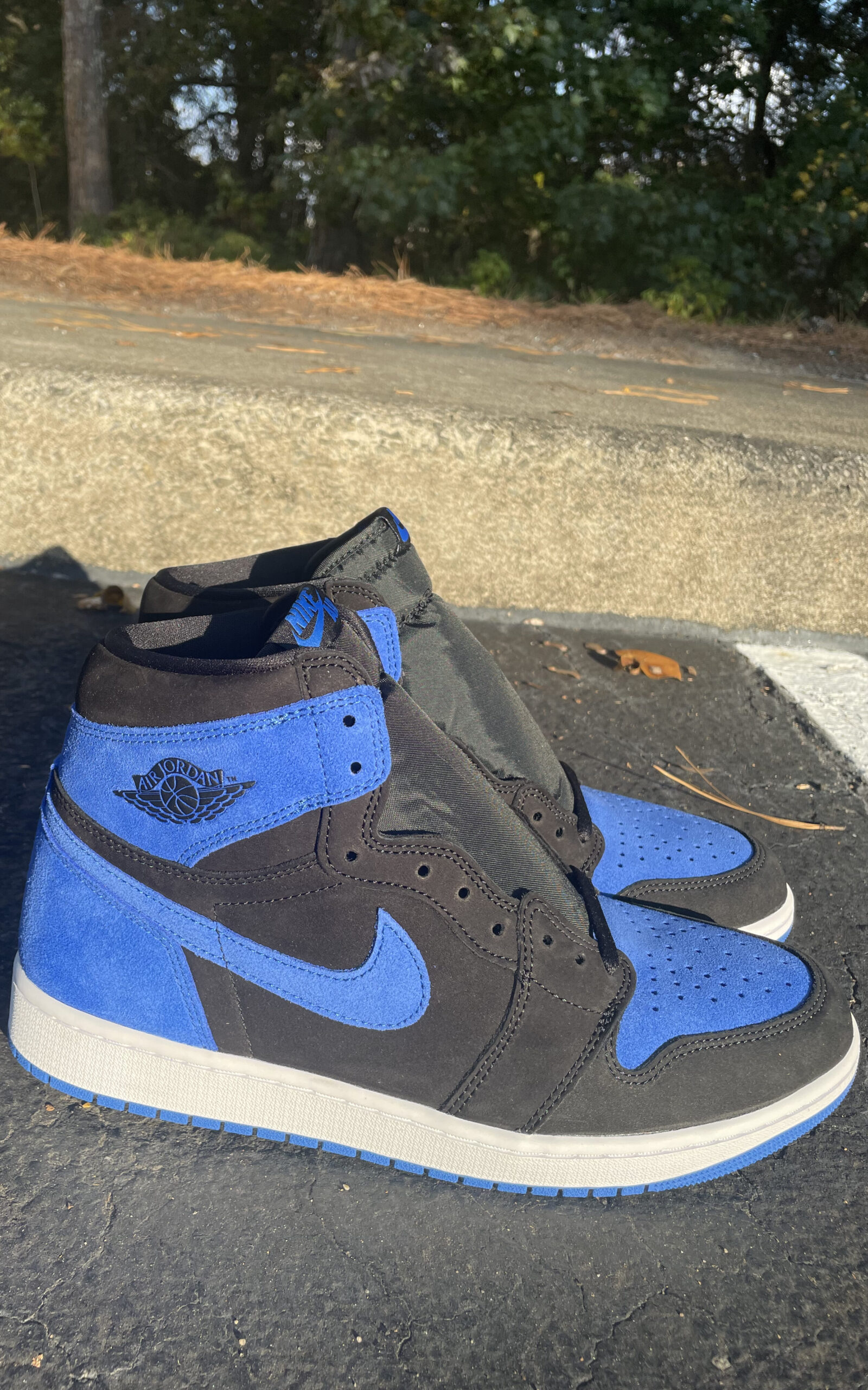 Air Jordan 1 Royal Reimagined 